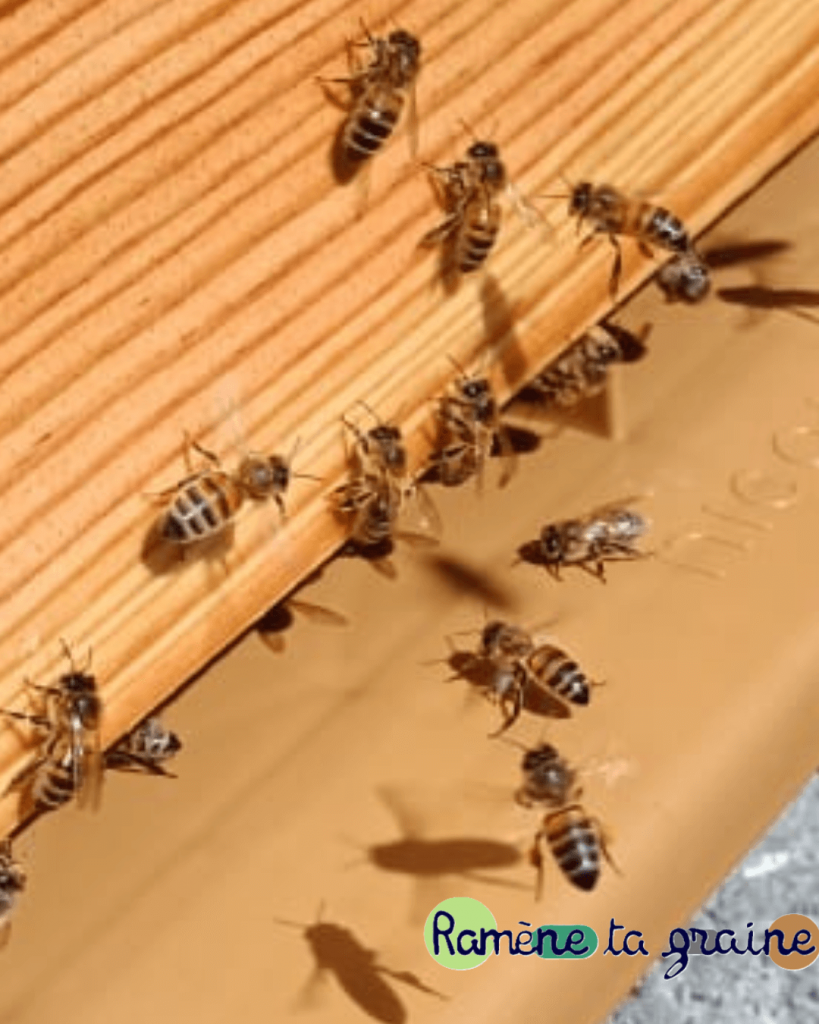 Animation Biodiversité Entreprise Haut de france