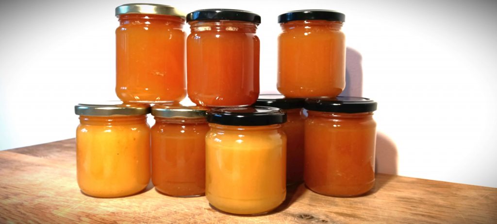 Atelier nature et coopération dans un centre social à Valenciennes