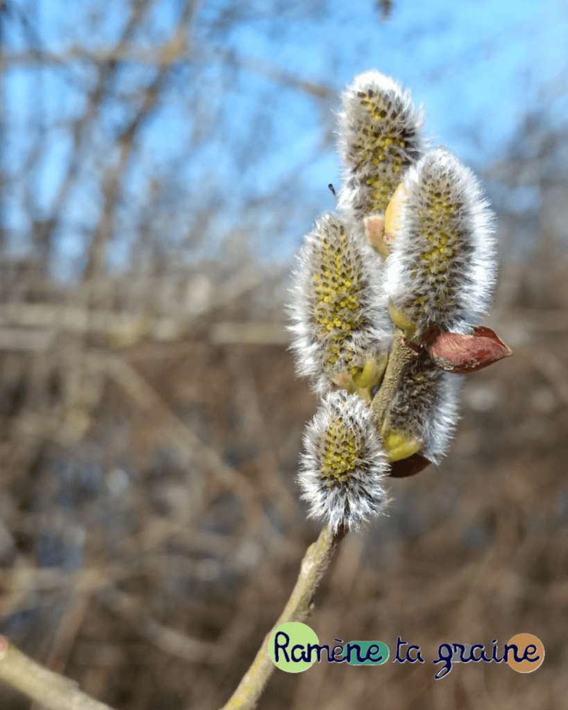 Biodiversité entreprise Lille