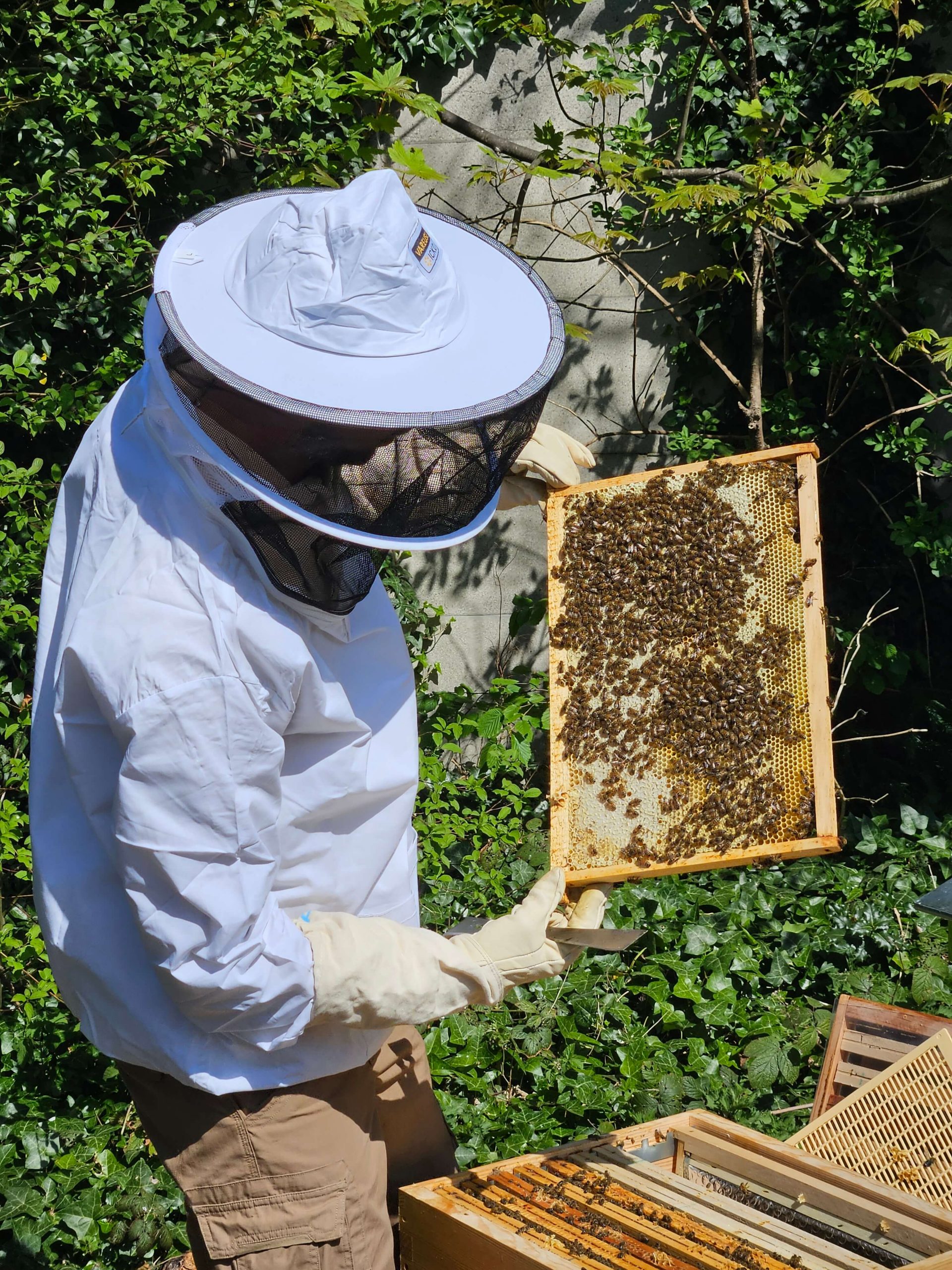 Formation apiculture nord pas de calais
