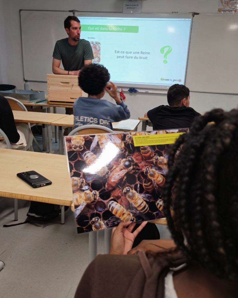 Atelier pédagogique sur les abeilles dans une école à Lille