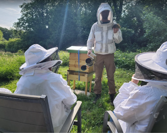 Pourquoi la ruche en entreprise et collectivité : sensibiliser à la biodiversité et aux abeilles à Lille, Valenciennes, Lens et Douai