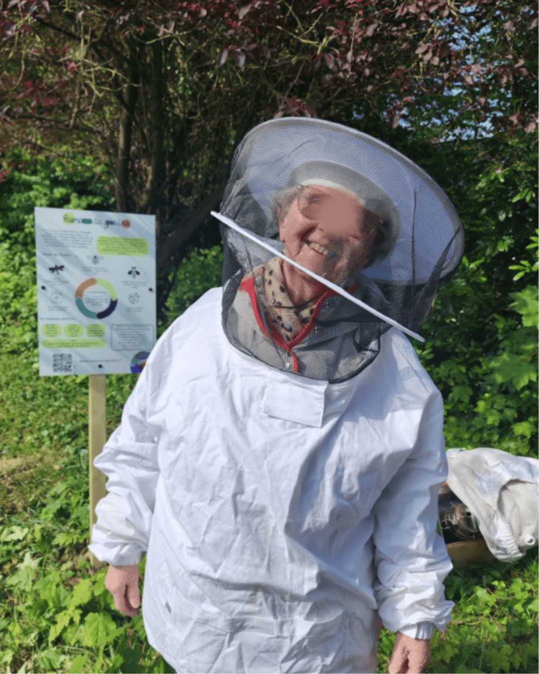 Gros plan sur les mains de participants et des éléments de ruche pendant une animation abeilles