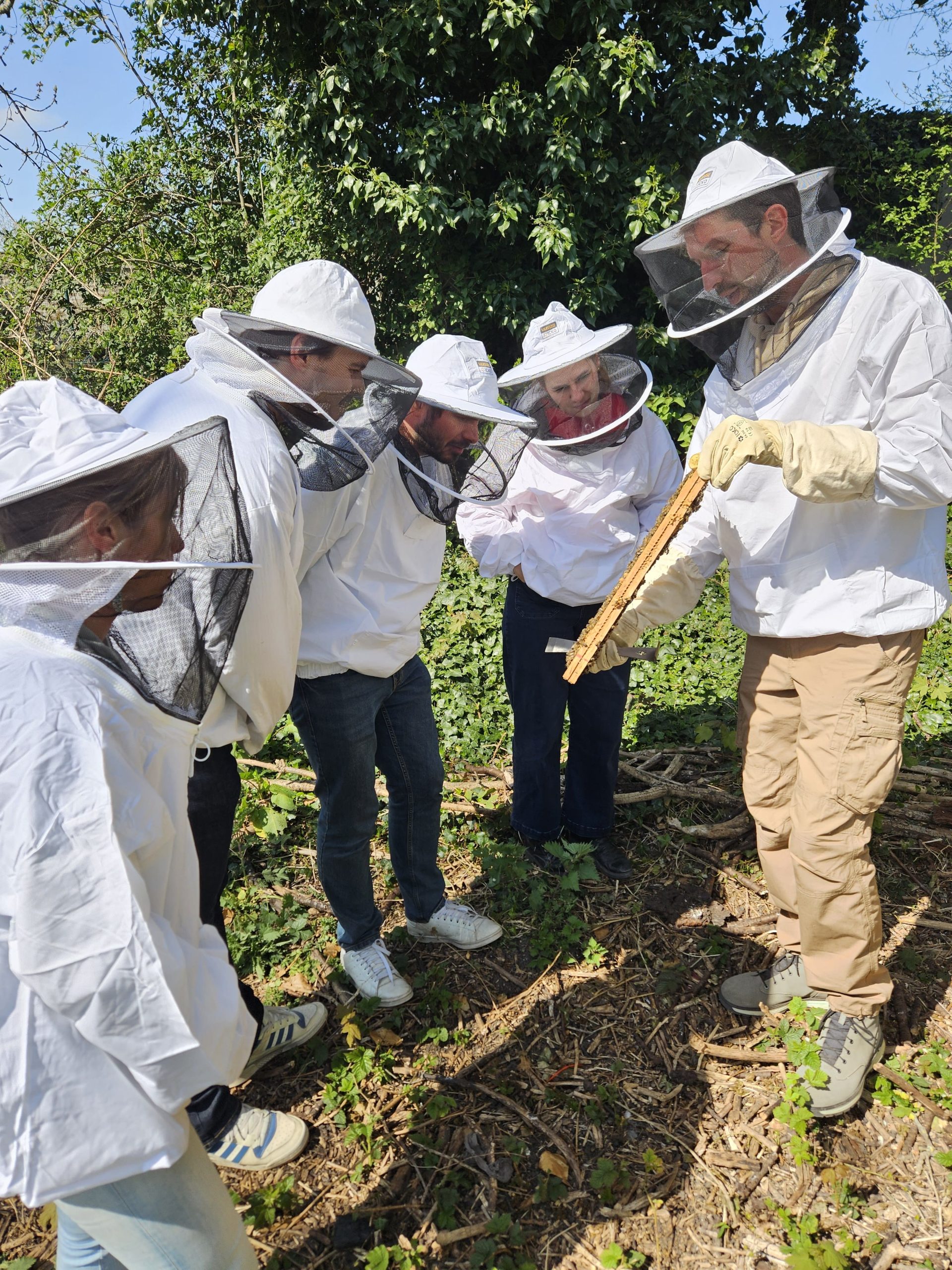 Apiculteur expliquant le fonctionnement de la ruche à un groupe pendant un atelier abeilles