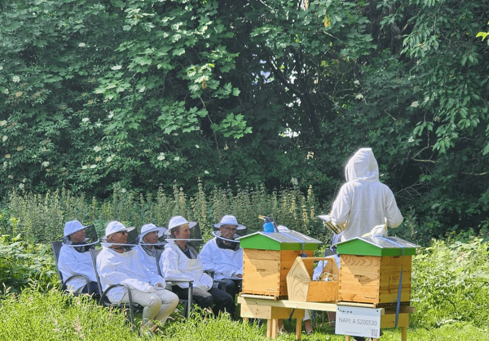 Groupe vu de dos devant une ruche pendant un atelier de découverte du monde des abeilles