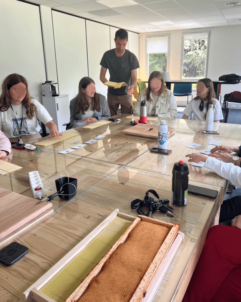 Jeunes participants penchés sur une ruche pendant un atelier pédagogique sur les abeilles