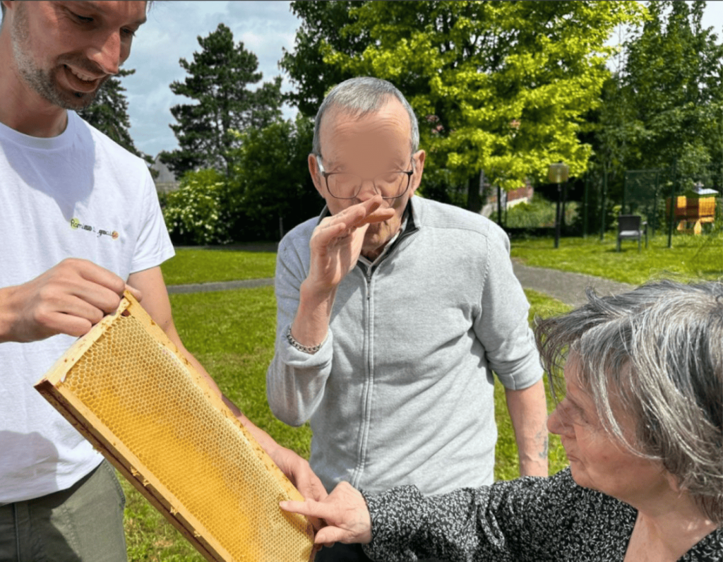 Mains de participants manipulant du matériel apicole pendant un atelier pratique