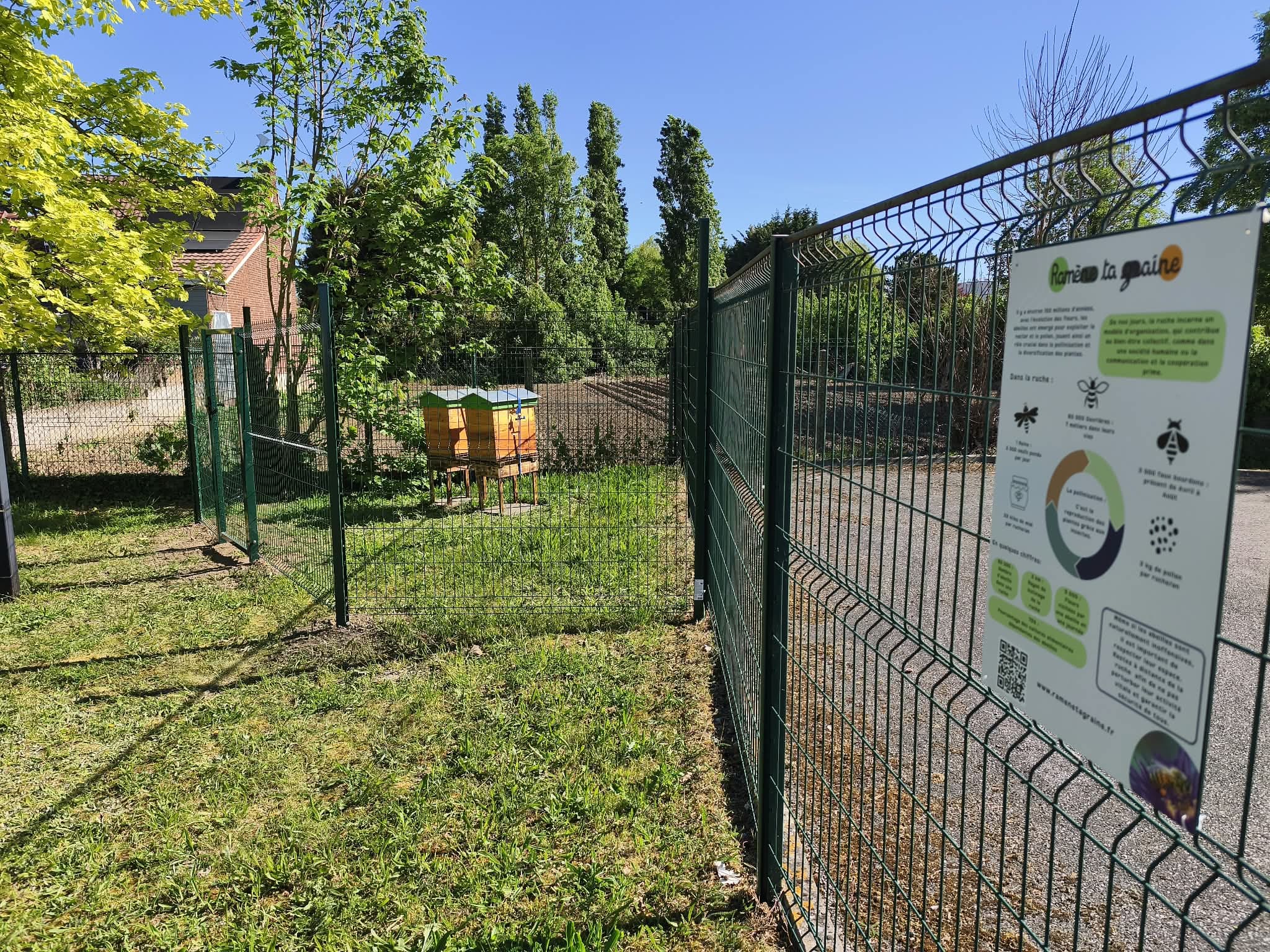Installation d’une ruche à Lille sur le site d’une structure, avec choix de l’emplacement