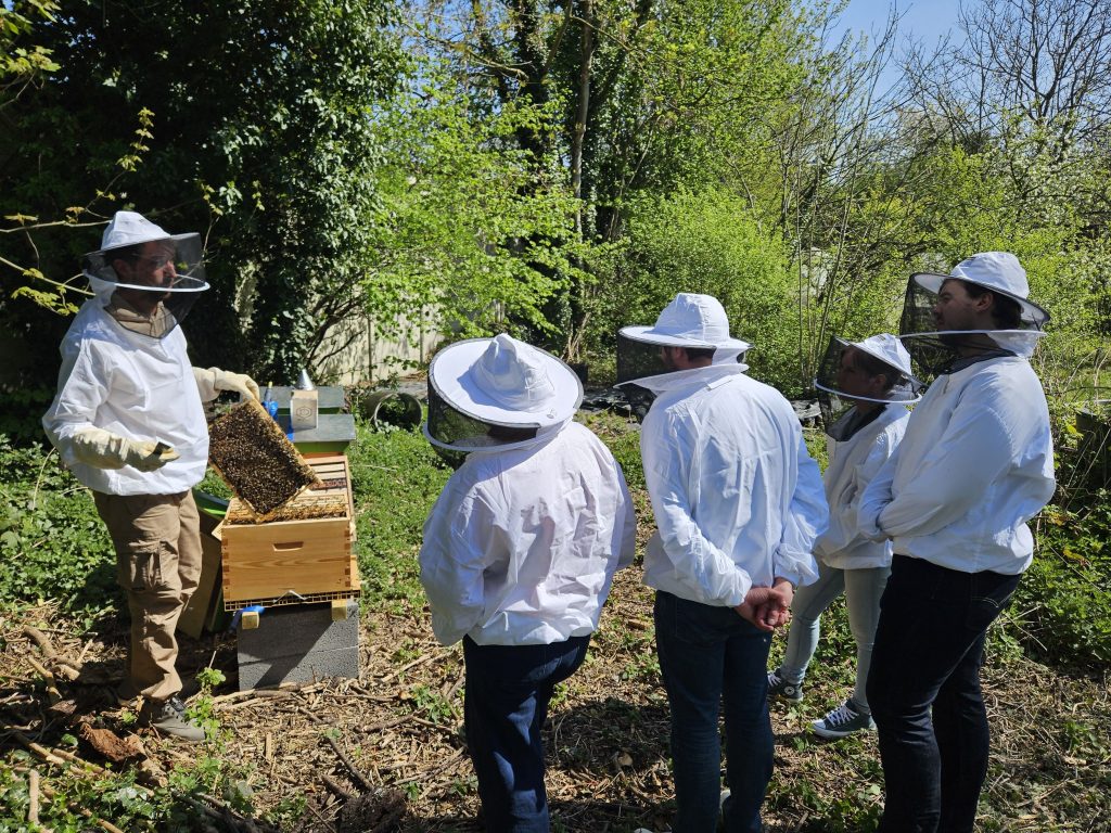 Participants équipés autour d’une ruche pendant une journée d’entreprise sur les abeilles