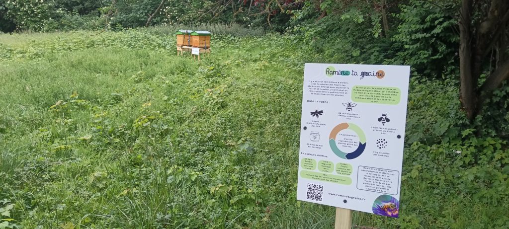 Panneau d’information posé près d’une ruche installée