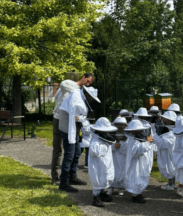 Groupe de participants observant une ruche pendant une séance d’un parcours d’animation