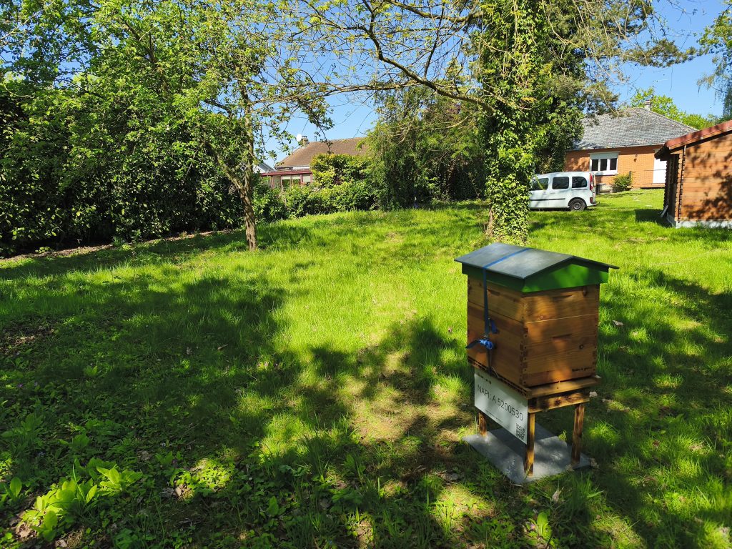 Ruche installée à côté des bâtiments d’un site