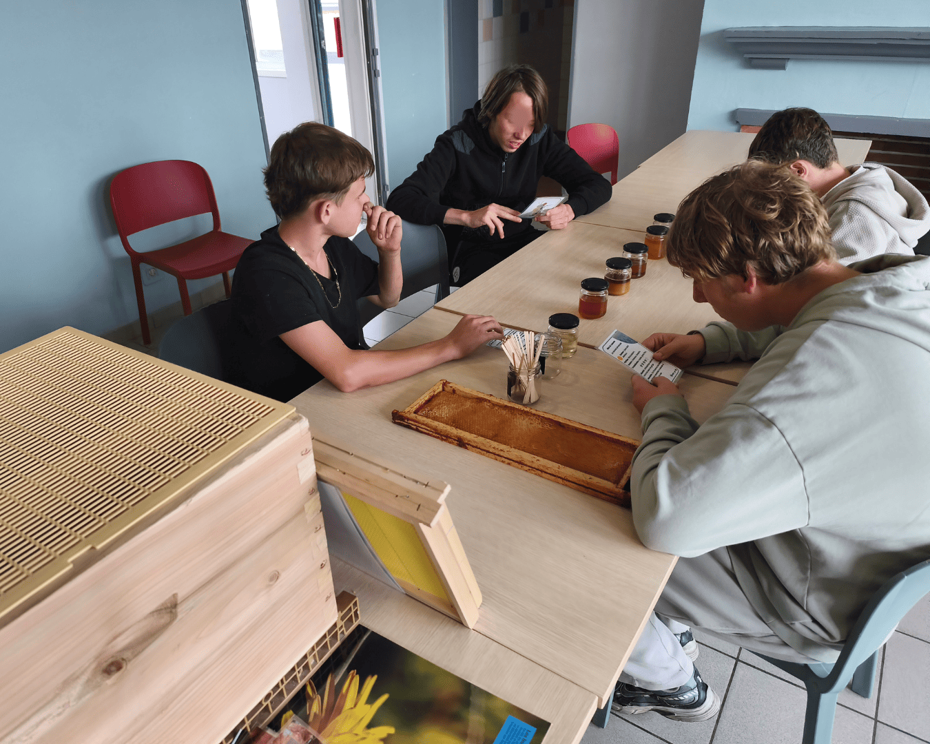 Gros plan sur un cadre de ruche présenté à un groupe lors d’une sensibilisation aux abeilles