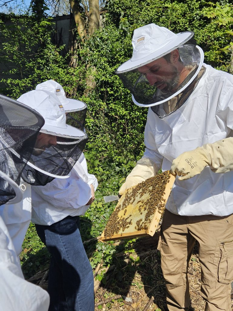 Apiculteur lors d’un passage de suivi sur une ruche installée